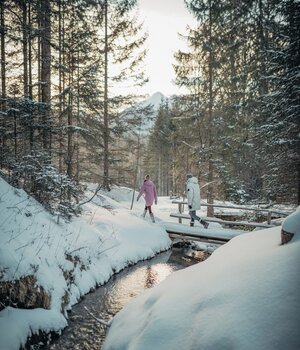 Ski-in/Ski-out ☛apartment Tiroler Zugspitz Arena, Tyrol